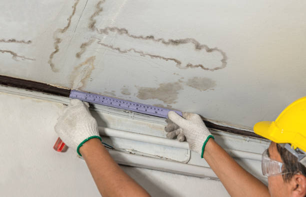 Reliable Structural Drying contractor in New Bloomington, OH by Water Damage Irwin